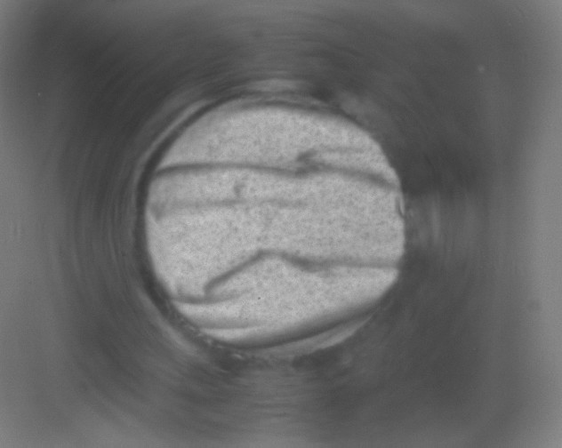 X0000081350243200702082302