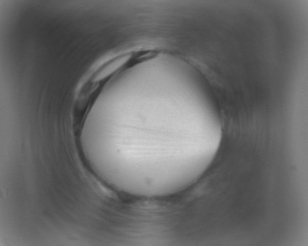 X0000081350244200702082302