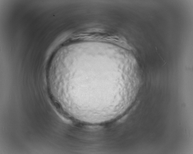 X0000081350245200702082302