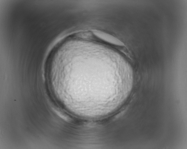 X0000081350246200702082302