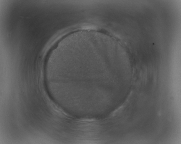 X0000081350247200702082302