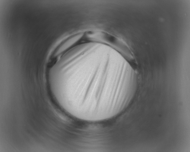 X0000081350248200702082302