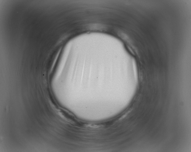 X0000081350249200702082302