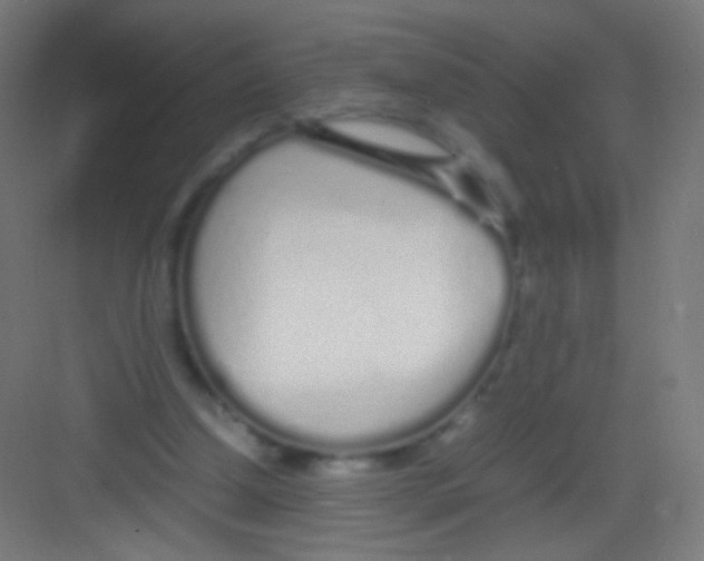 X0000081350250200702082302