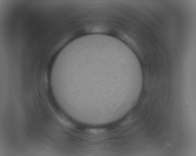 X0000081350251200702082302