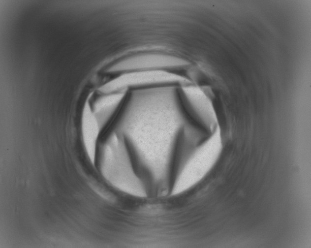 X0000081350252200702082302