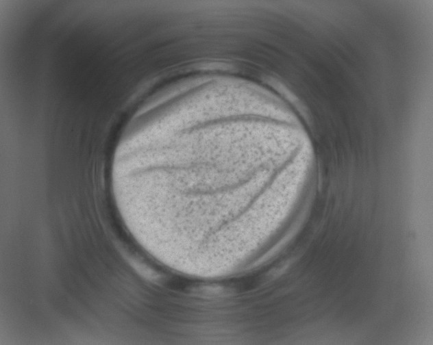 X0000081350253200702082302