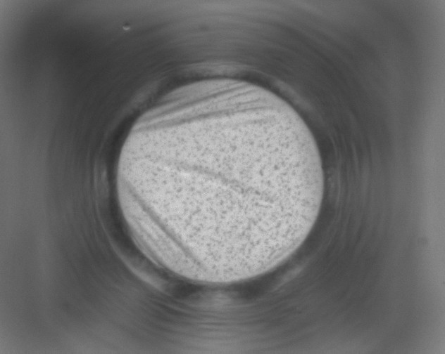 X0000081350254200702082302