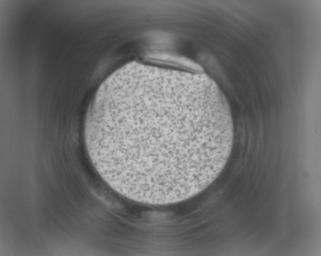 X0000081350255200702082302