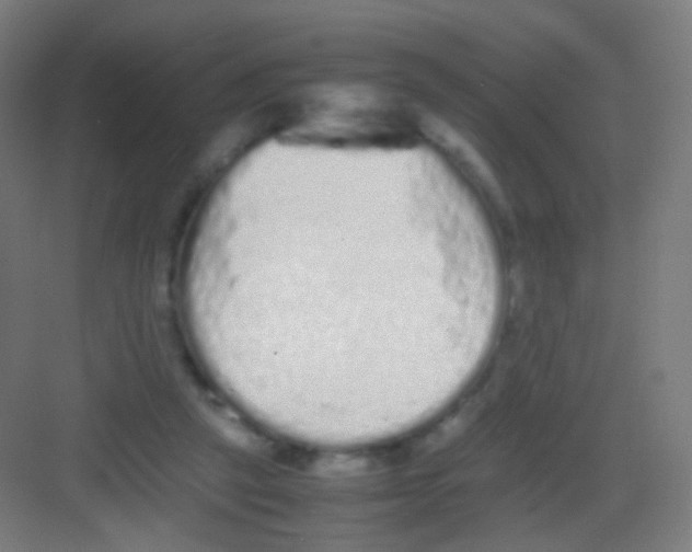 X0000081350257200702082302