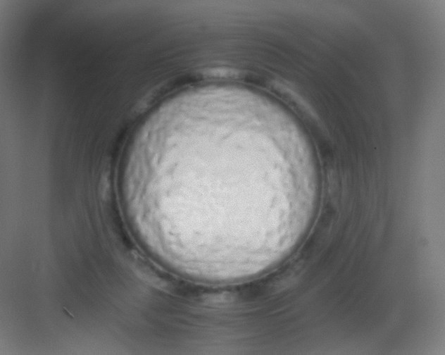 X0000081350259200702082302