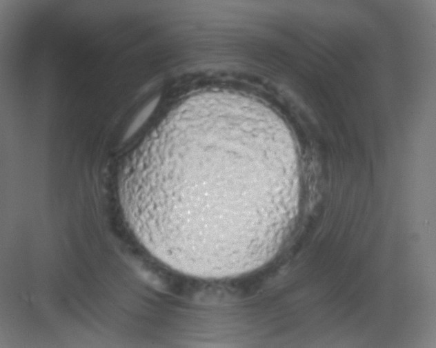 X0000081350260200702082302