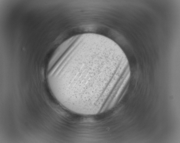 X0000081350262200702082302