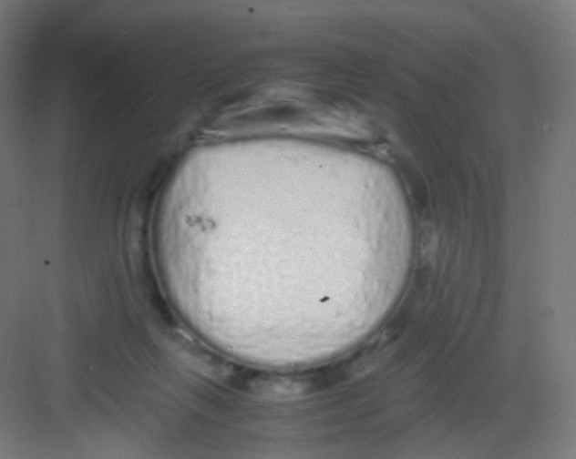 X0000081350263200702082302