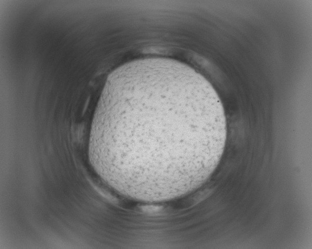 X0000081350265200702082302