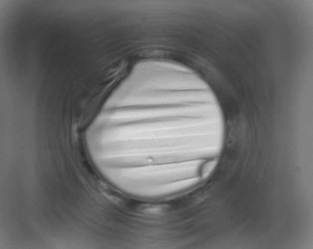 X0000081350267200702082302