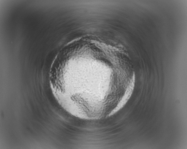 X0000081350268200702082302