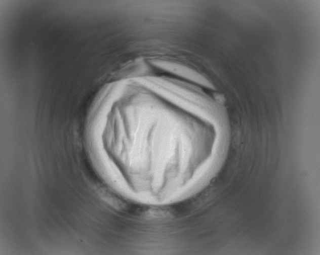 X0000081350270200702082302