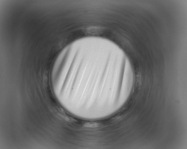 X0000081350271200702082302