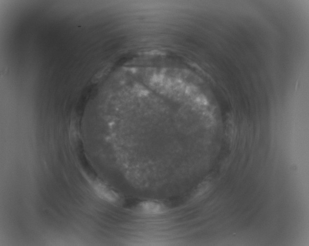 X0000081350272200702082302