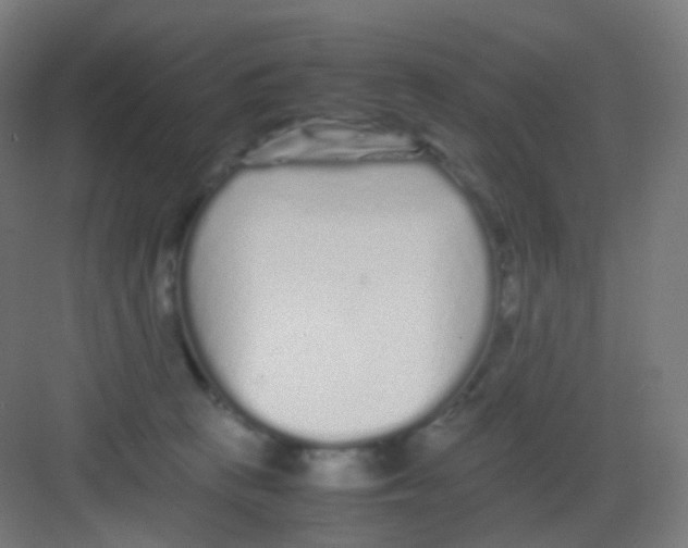 X0000081350273200702082302