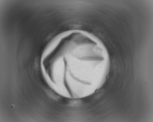 X0000081350274200702082302