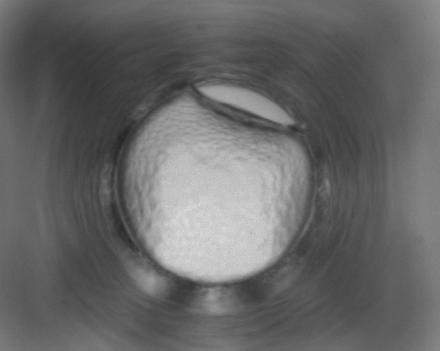 X0000081350275200702082302