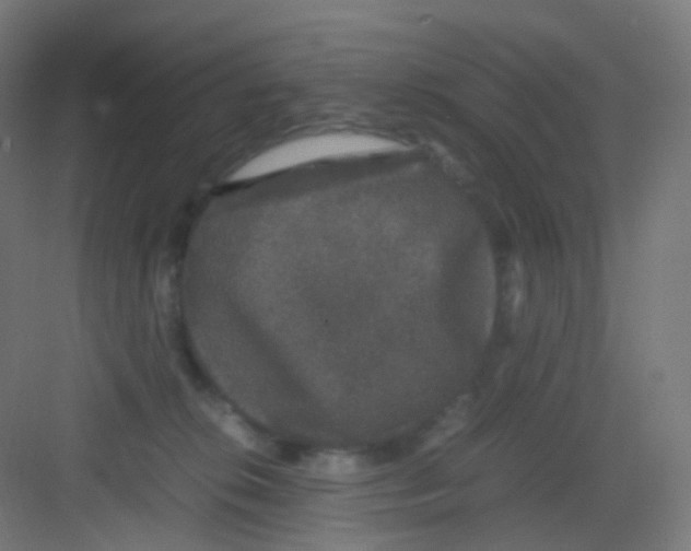 X0000081350276200702082302