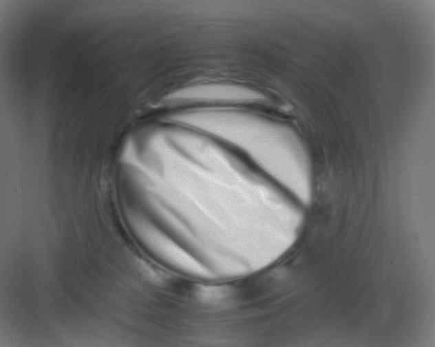 X0000081350277200702082302