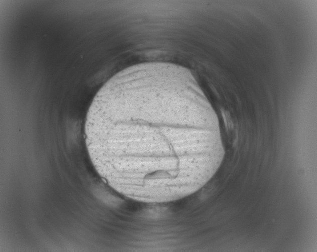 X0000081350278200702082302