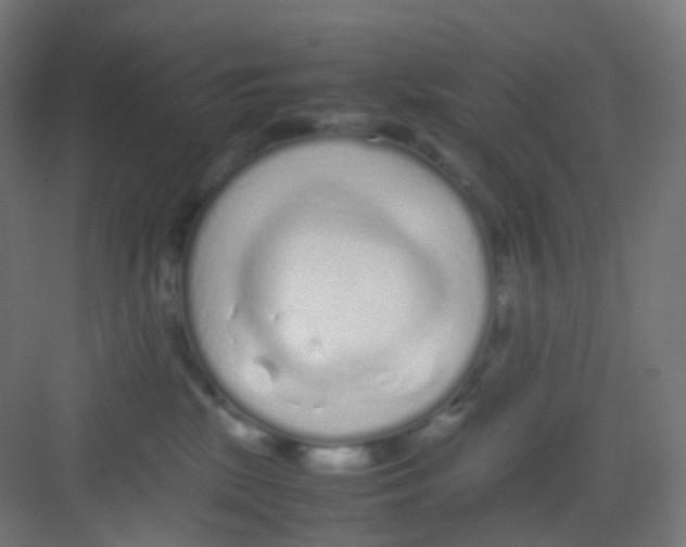 X0000081350281200702082302