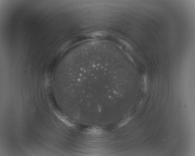 X0000081350284200702082302