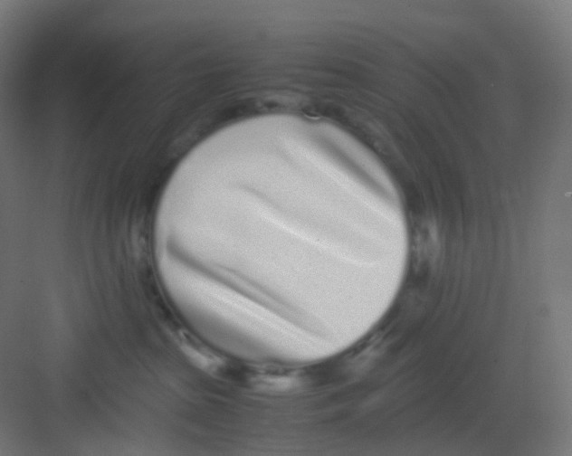 X0000081350285200702082302