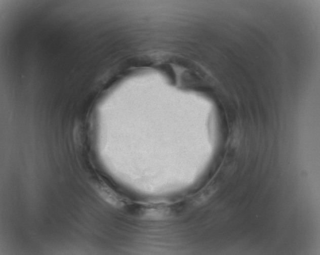 X0000081350286200702082302