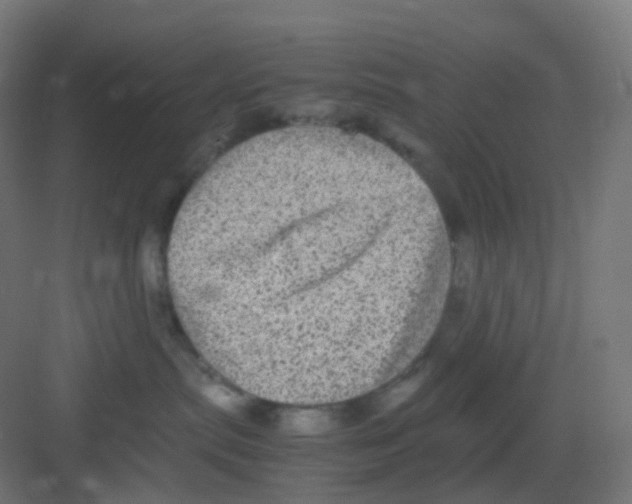 X0000081350287200702082302