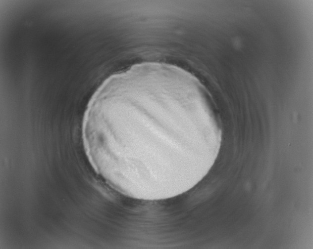 X0000081350288200702082302