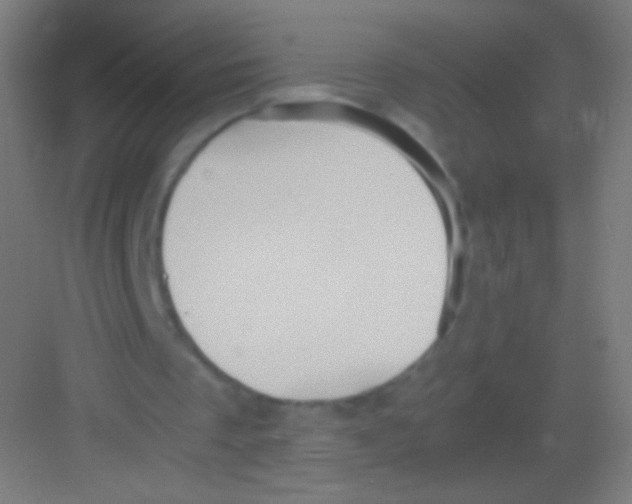 X0000081350289200702082302