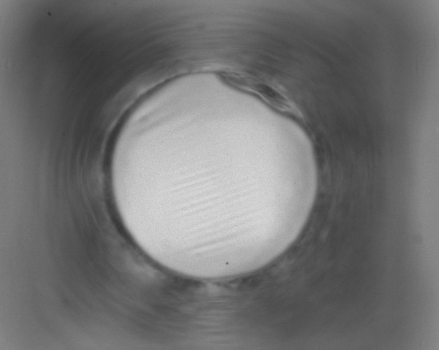 X0000081350290200702082302