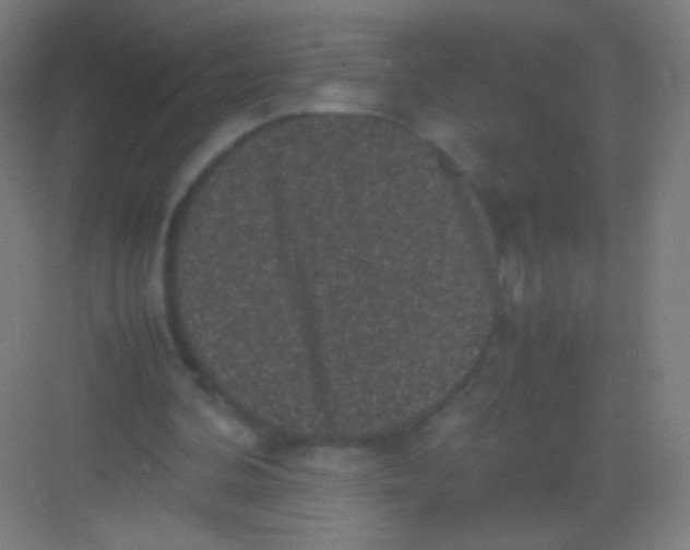 X0000081350292200702082301