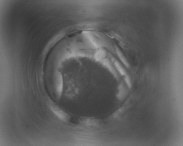 X0000081350293200702082301