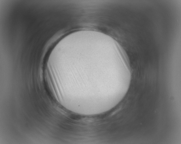 X0000081350294200702082301