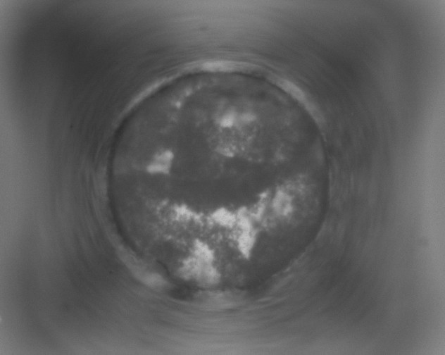 X0000081350297200702082301