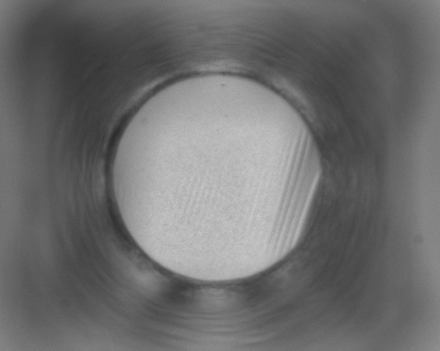 X0000081350298200702082301