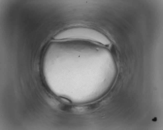 X0000081350299200702082301