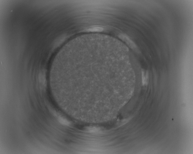 X0000081350300200702082301