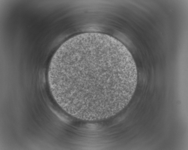 X0000081350302200702082301