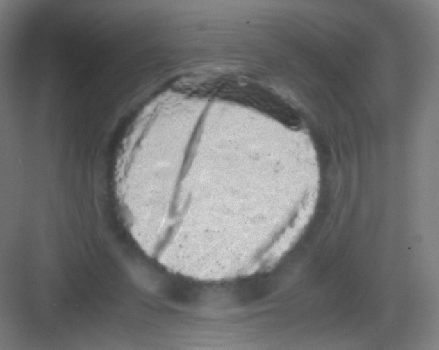 X0000081350303200702082301