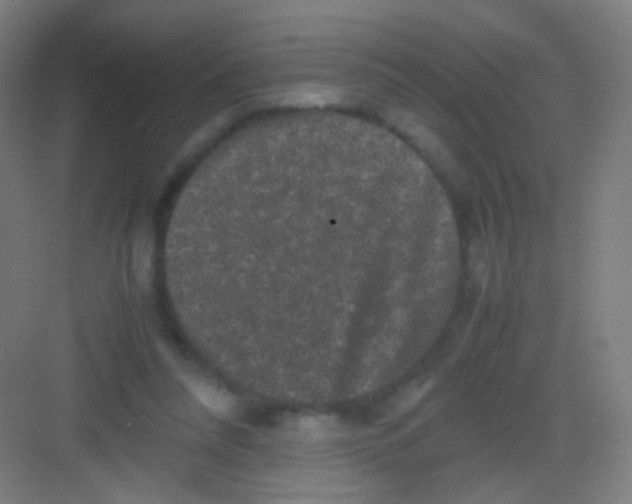 X0000081350304200702082301