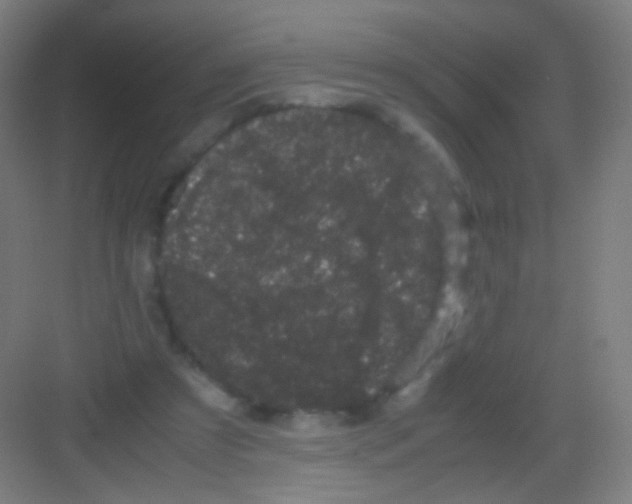 X0000081350305200702082301