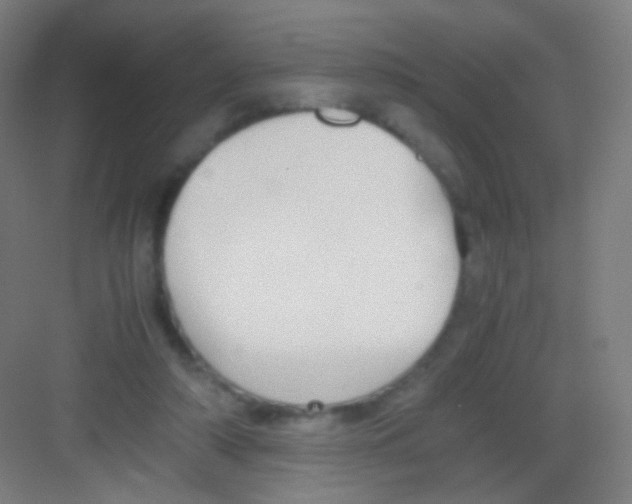 X0000081350306200702082301